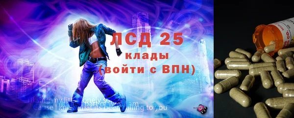 гашик Медвежьегорск
