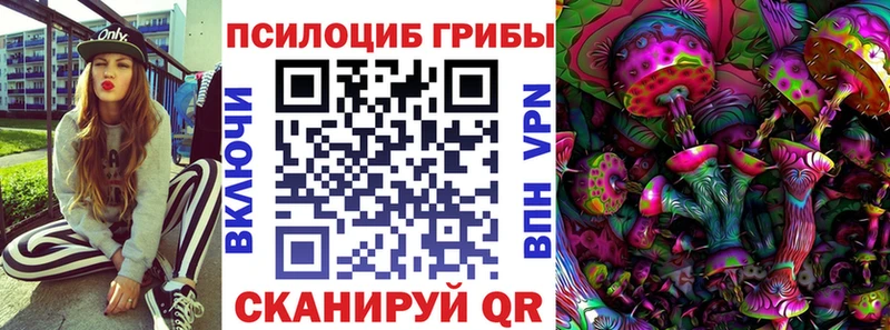 Купить закладки  Отрадный  Псилоцибиновые грибы Magic Shrooms 